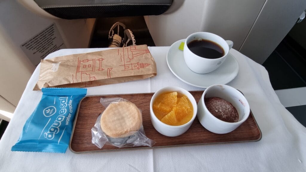 Flight Review TAP Business Class A321LR NEO